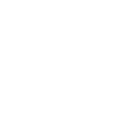 money icon